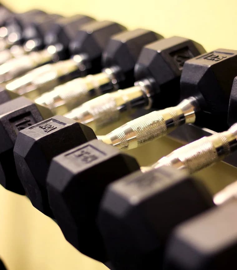 A rack of iron dumbbells in warm gym light